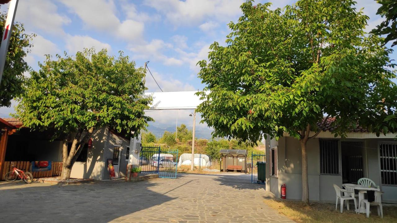 Camping Mitikas And Bungalows Plaka Litochorou Bagian luar foto