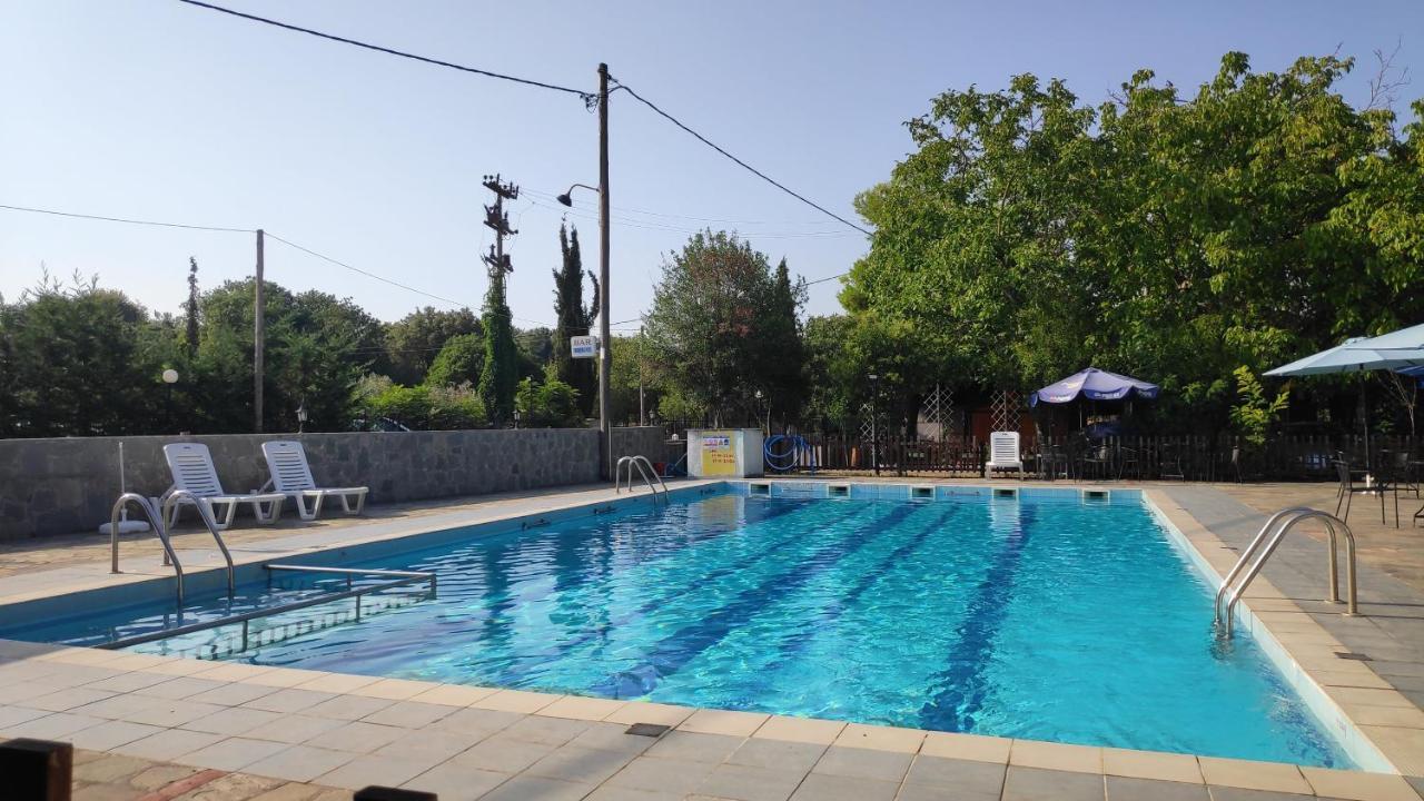 Camping Mitikas And Bungalows Plaka Litochorou Bagian luar foto