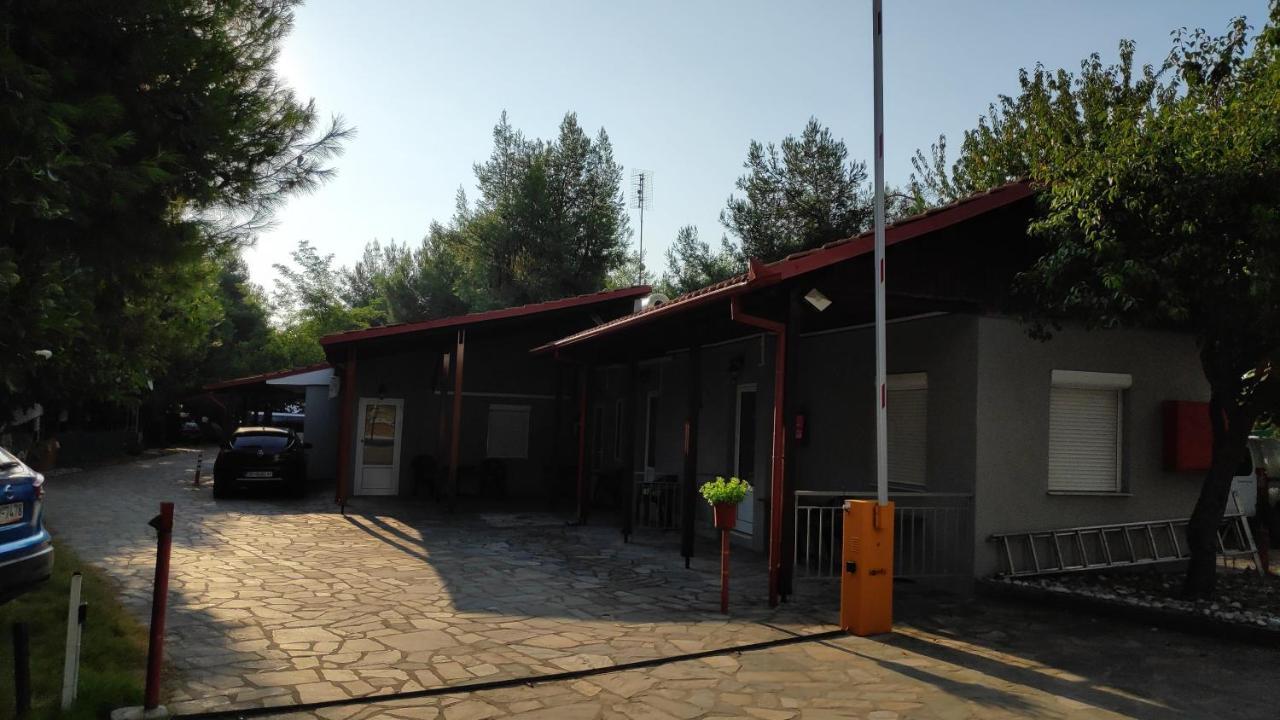 Camping Mitikas And Bungalows Plaka Litochorou Bagian luar foto